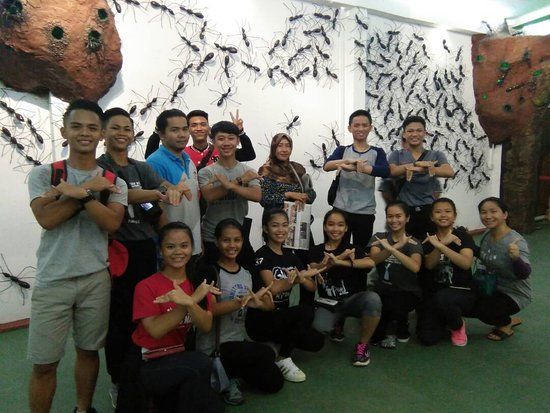 Borneo Ant House
