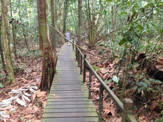 Matang Wildlife Centre