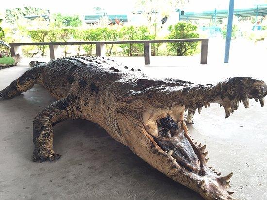 Sandakan Crocodile Farm