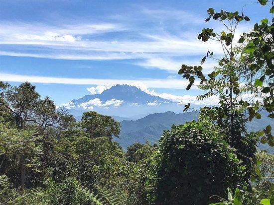 Kokol Hill