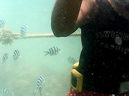 Borneo Sea Walking