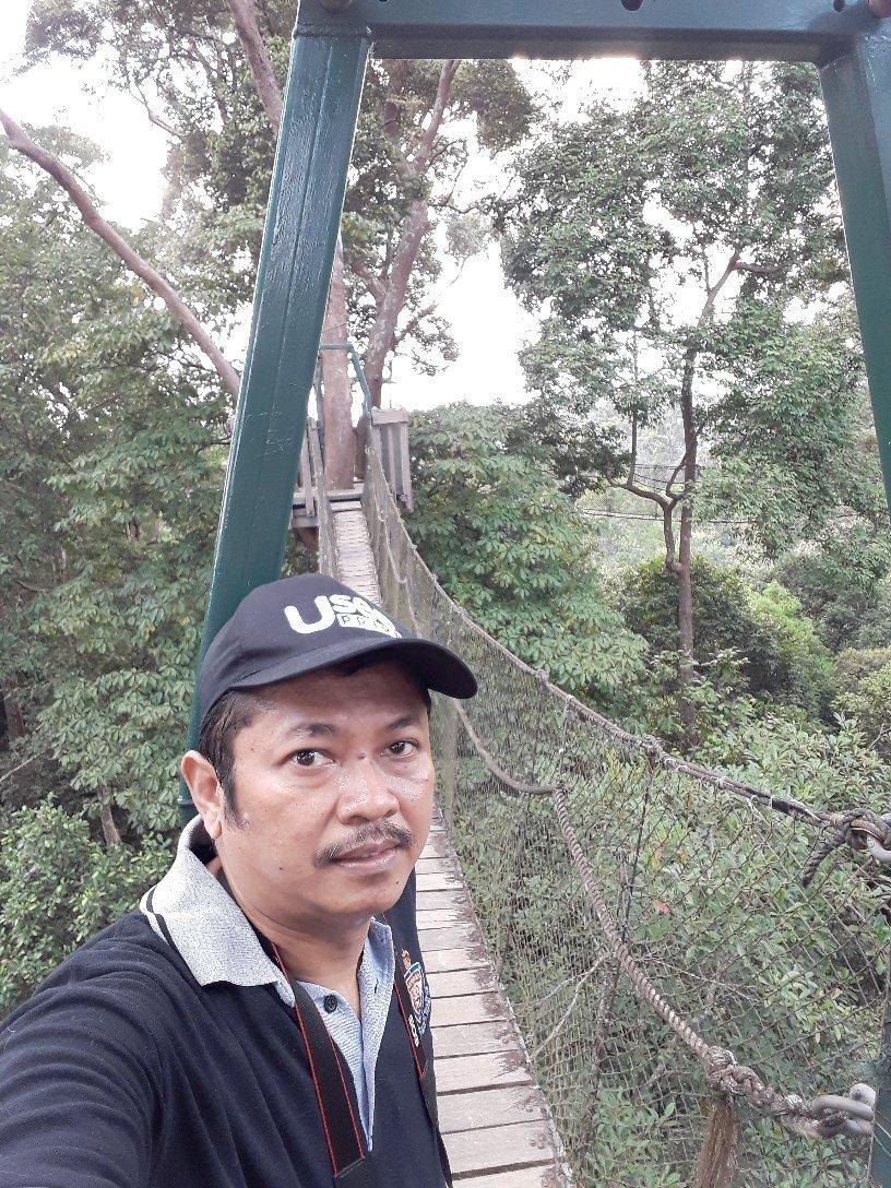 Bangkirai Bridge